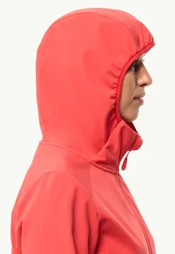 Bornberg Hoody W-Jack Wolfskin Online
