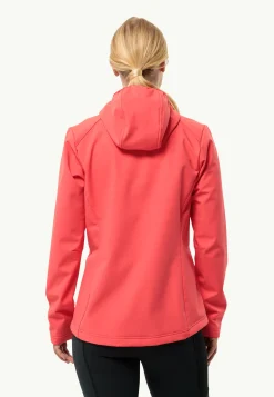Bornberg Hoody W-Jack Wolfskin Online
