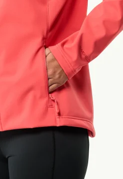 Bornberg Hoody W-Jack Wolfskin Online