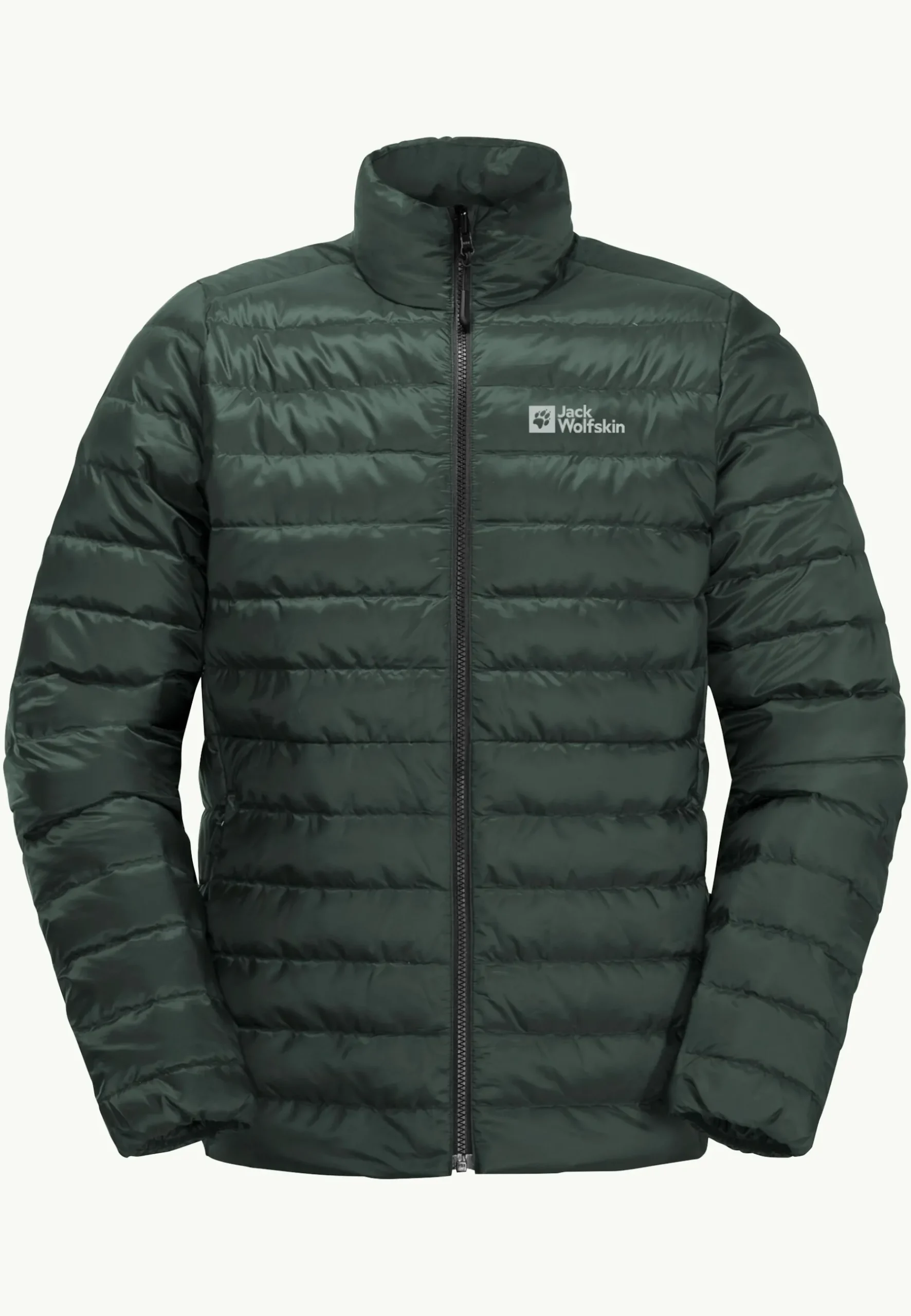 Pilvi Down Jkt M Rds-Jack Wolfskin Online